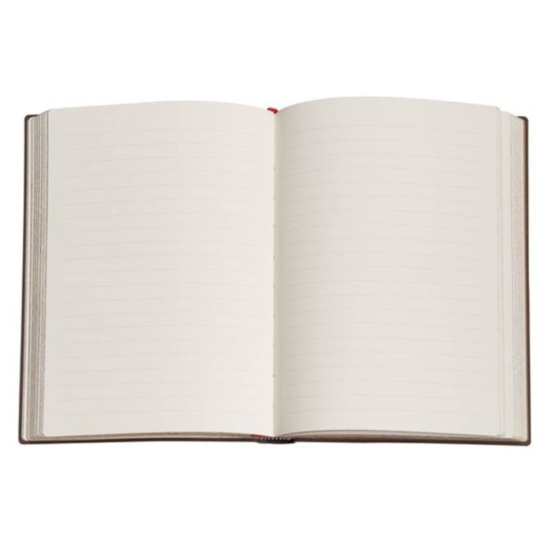 PAPERBLANKS BLUE WILLOW MIDI PAUTADO PB9895-9