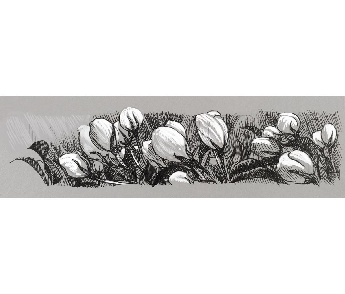 CANETA FABER CASTELL PITT 04 BLACK & WHITE (B/1.5/C BCA-S PRETA) 167151