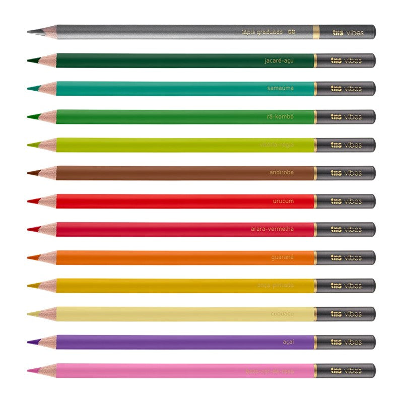 LAPIS COR TRIS VIBES 12 CORES AMAZONIA + LAPIS 6B