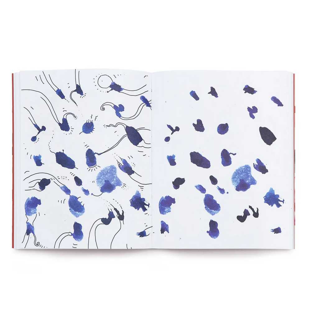 LIVRO "HIRAMEKI"  PENG E HU