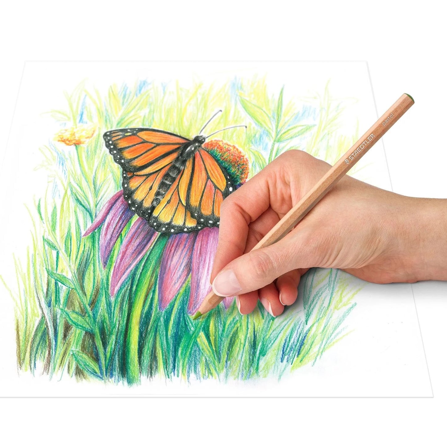 LAPIS PASTEL STAEDTLER 12 CORES 146PM12