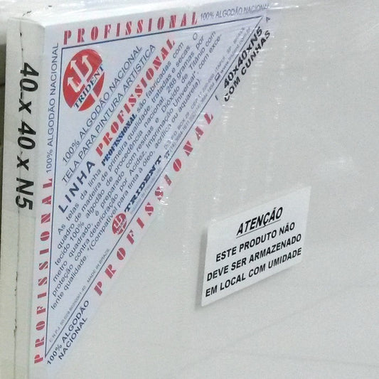 TELA PAINEL TRIDENT ATELIE 30x50xN5 COM CUNHAS