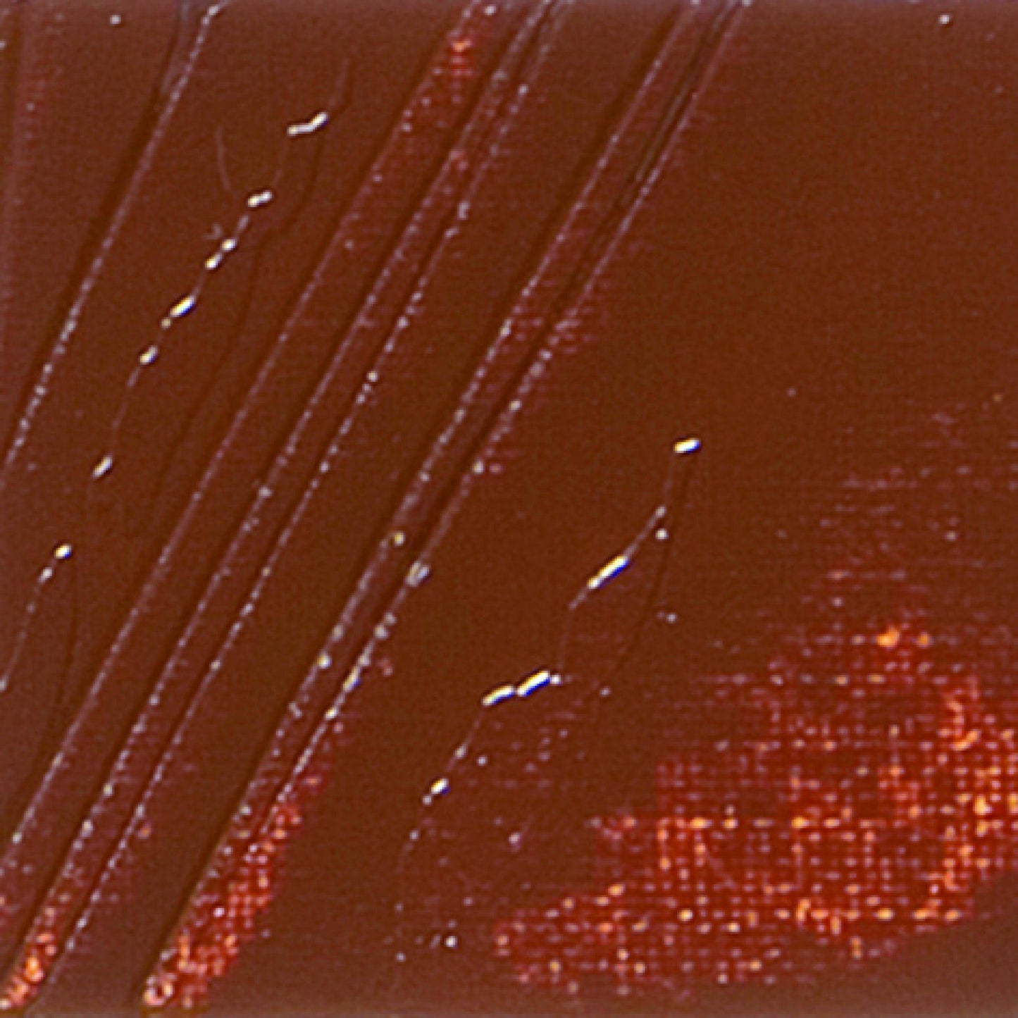 OLEO PEBEO XL 37ML 22 SIENA TOSTADA 937022