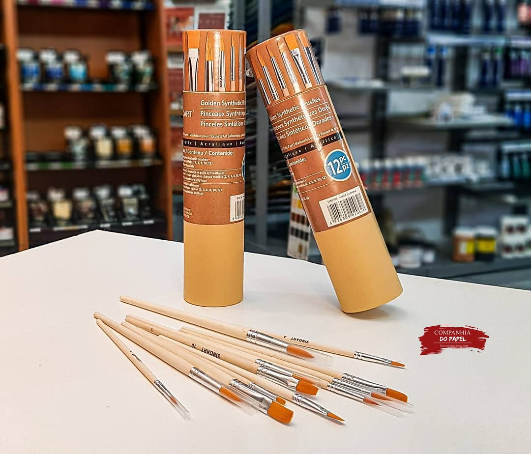 KIT PINCEIS SINOART SINTETICO C/ 12 UNIDADES VARIADAS 0196