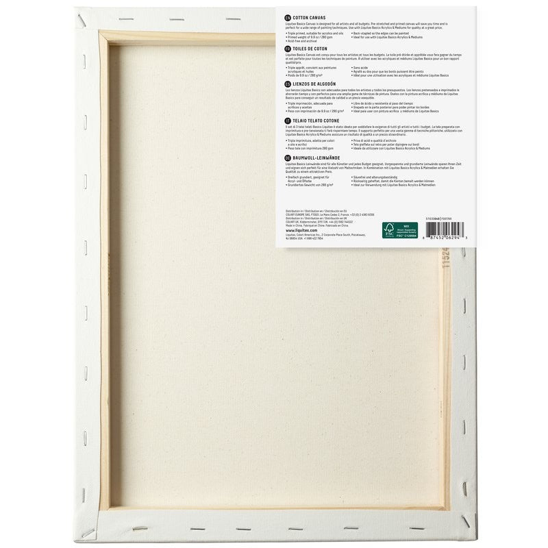 TELA LIQUITEX BASICS SET 50x70cm COM 03 UNIDADES