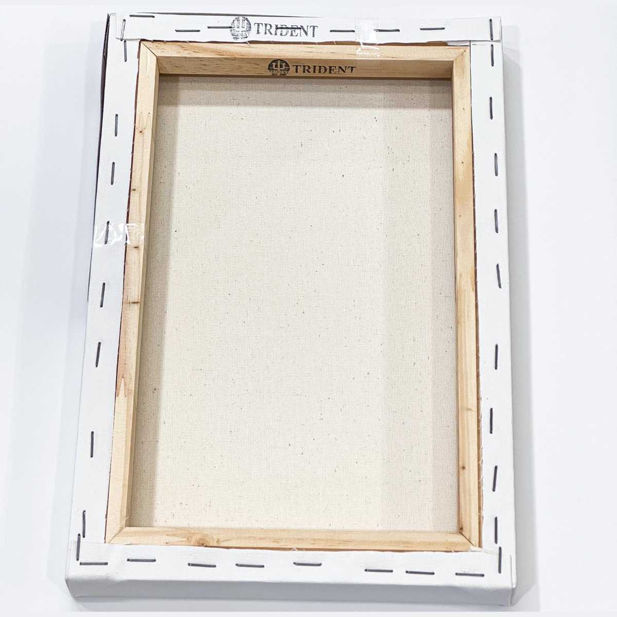 TELA TRIDENT STUDIO CF NACIONAL 25x25x2,5cm