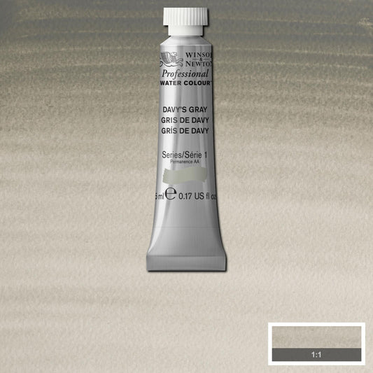 AQUARELA WINSOR NEWTON ARTISTS 5ml 217 DAVY'S GRAY S1