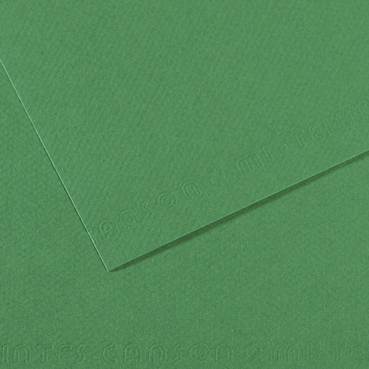 PAPEL CANSON MI-TEINTES 160G/M2 A2 575 VERDE BILHAR