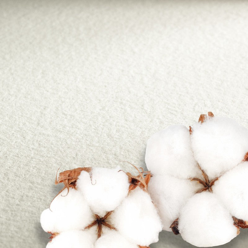 BLOCO HAHNEMUHLE COLLECTION WATERC 640G C PRESS 24X32 10FLS