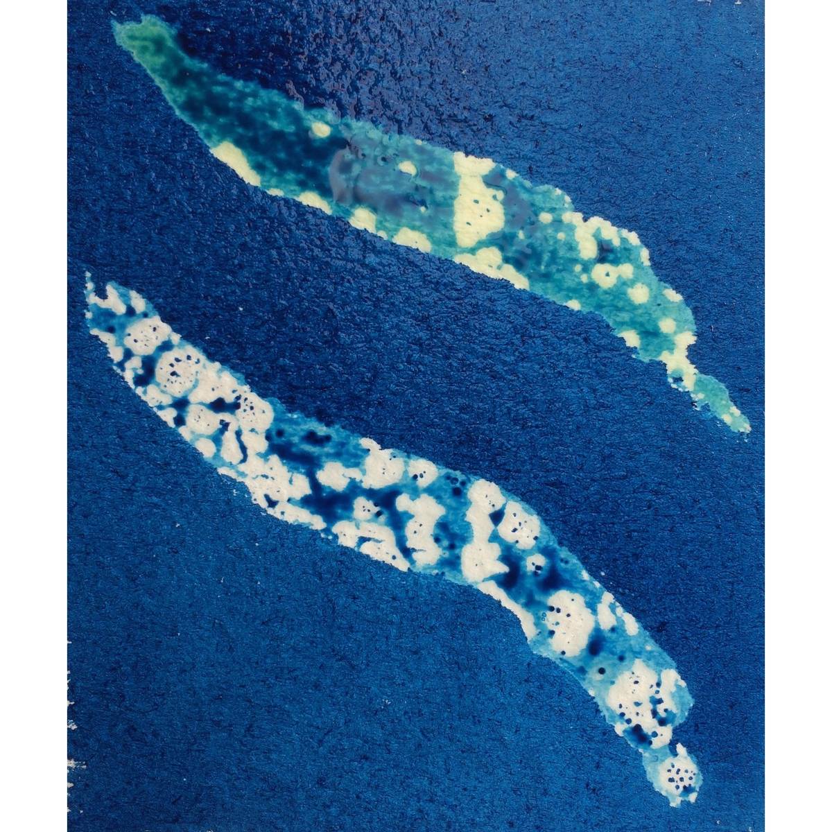 MASCARA LIQUIDA WINSOR NEWTON 075ML INCOLOR (COLOURLESS)