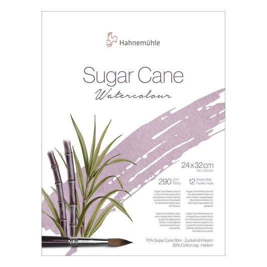 BLOCO HAHNEMUHLE SUGAR CANE 290g/m2 24X32cm GRANA FINA 12FLS
