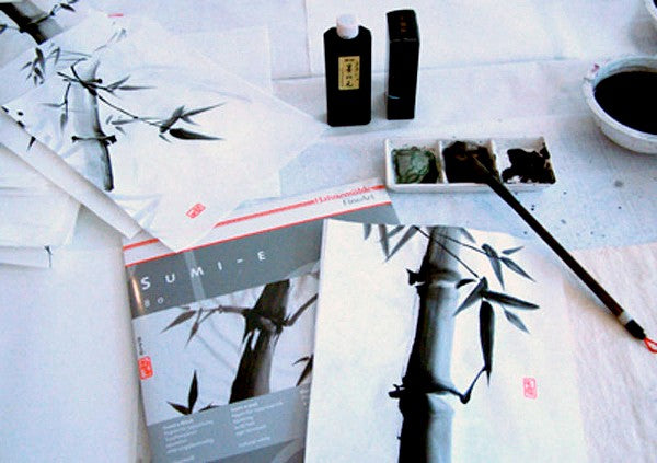 PAPEL HAHNEMUHLE SUMI-E 80g/m2 50X65