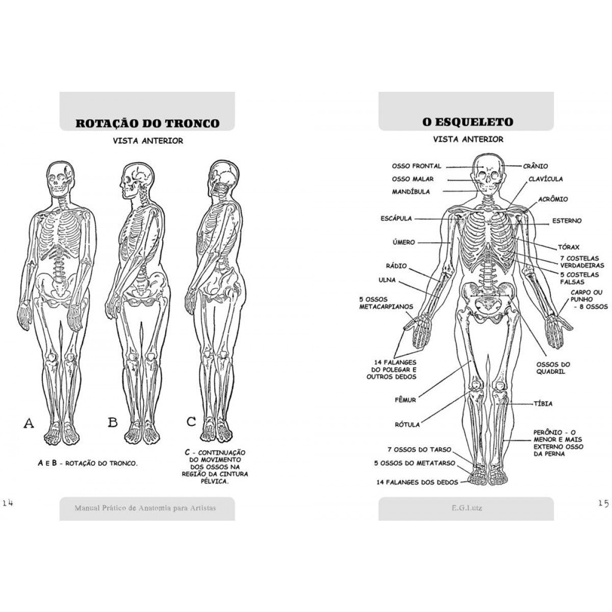 LIVRO "MANUAL PRATICO DE ANATOMIA PARA ARTISTAS" E. G. LUTZ
