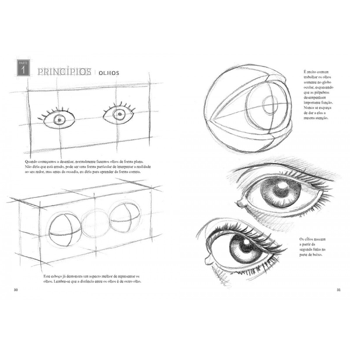 LIVRO "DESENHANDO ANATOMIA FIGURA HUMANA" EDUARDO SCHLOESSER