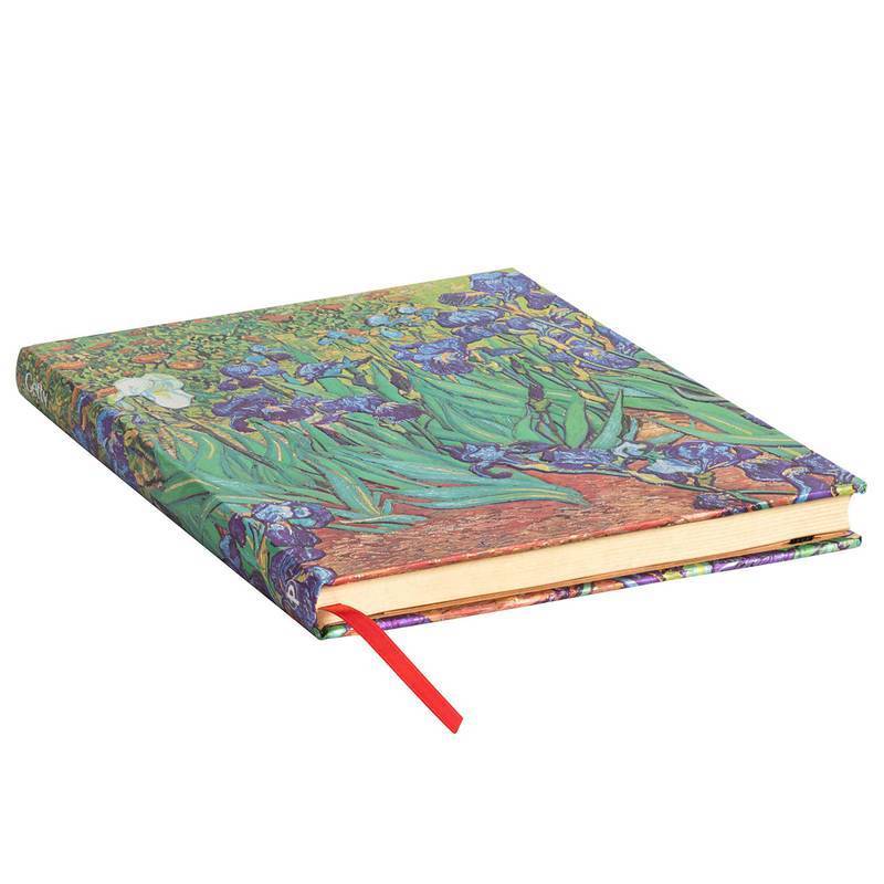 PAPERBLANKS VAN GOGHS IRISES MIDI 12x18cm PB8204-0