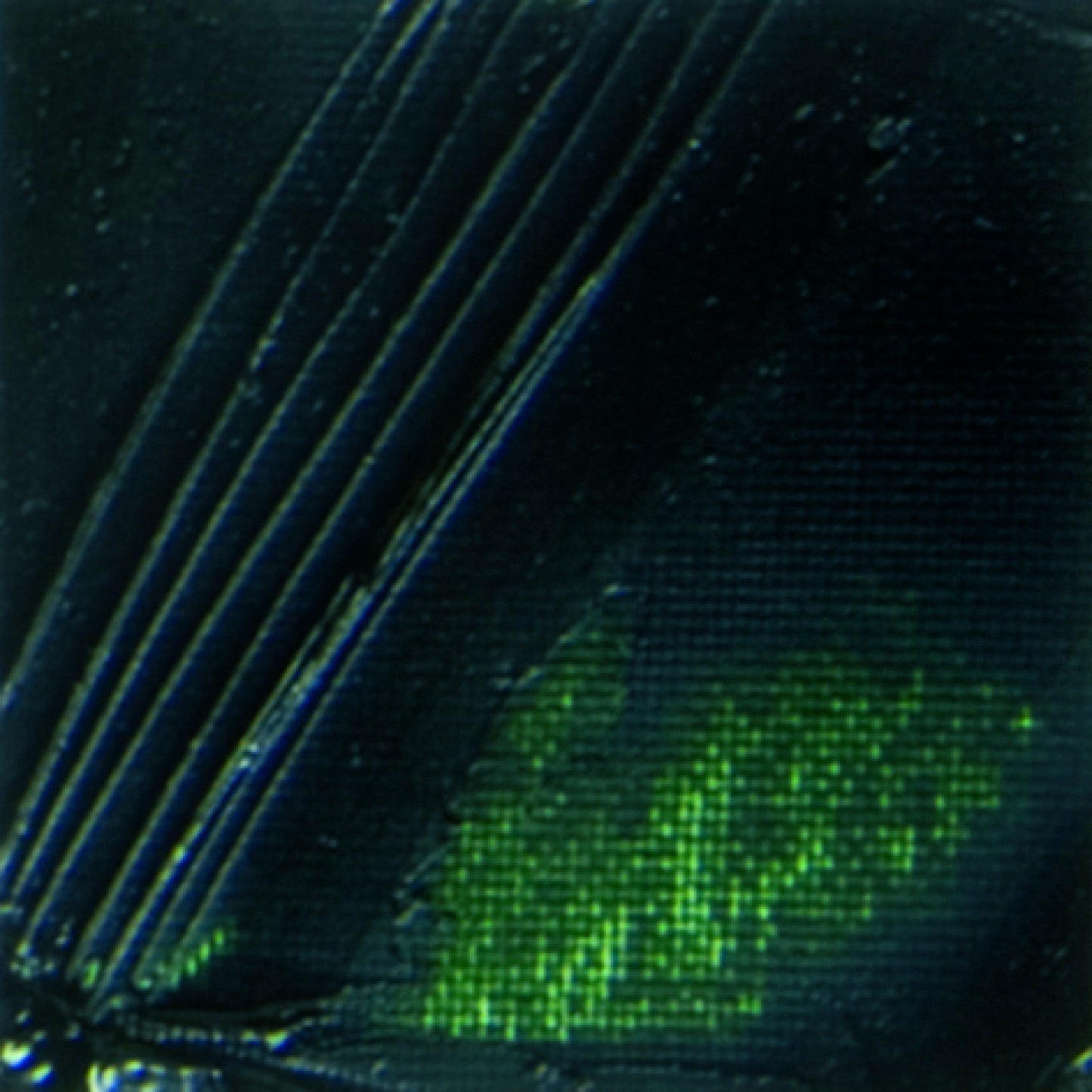 OLEO PEBEO XL 37ML 17 VERDE VESSIE 937017