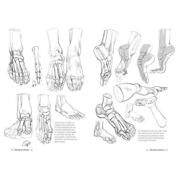 LIVRO "ANATOMIA ARTISTICA 3" O ESQUELETO MICHEL LAURICELLA