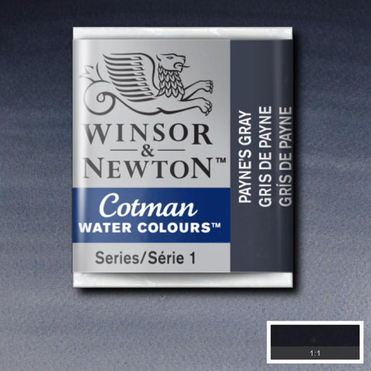 AQUARELA WINSOR NEWTON COTMAN HALF PAN 465 PAYNE'S GRAY