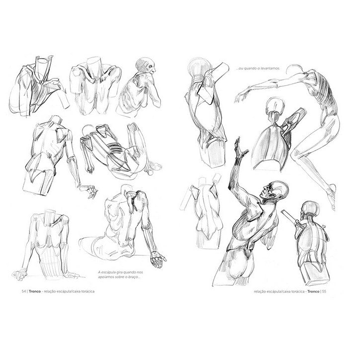 LIVRO "ANATOMIA ARTISTICA 3" O ESQUELETO MICHEL LAURICELLA