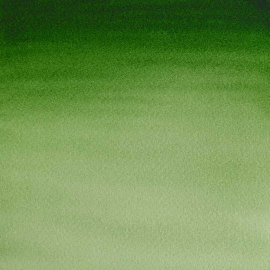 AQUARELA WINSOR NEWTON COTMAN 21ML HOOKERS GREEN LIGHT 0308314