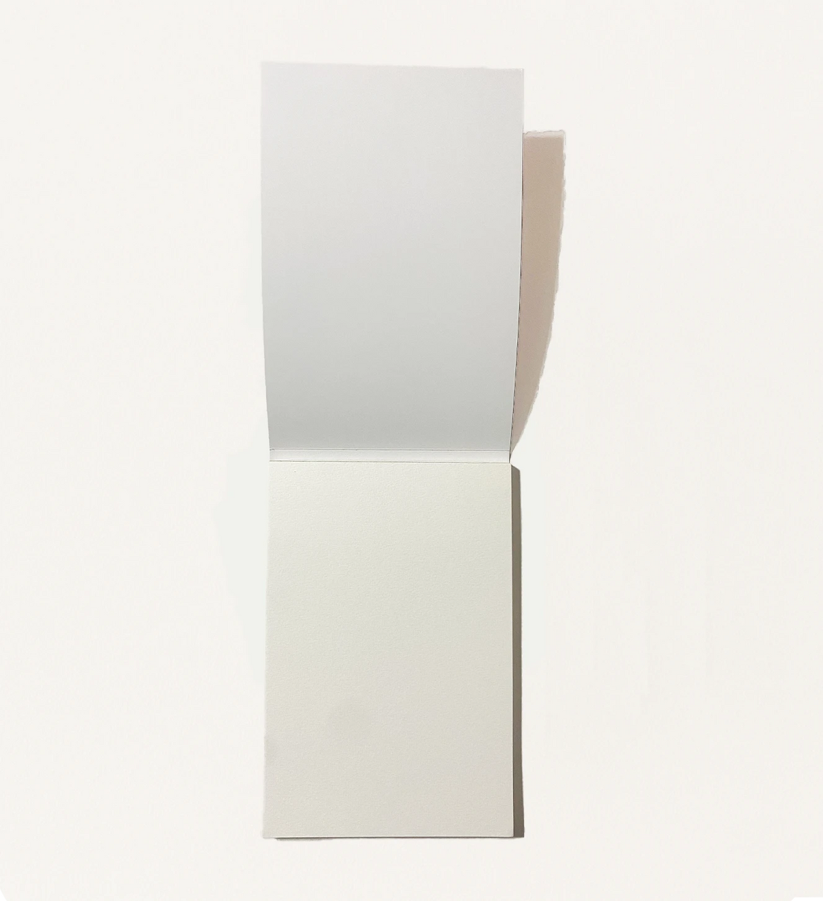 BLOCO PARA PINTURA FLOR DE IRIS