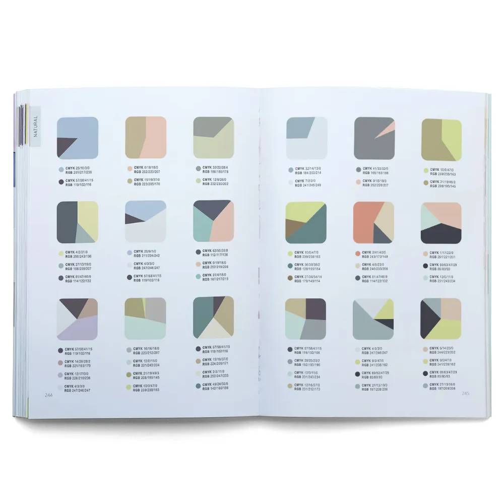 LIVRO "PALETA PERFEITA" LAUREN WAGER