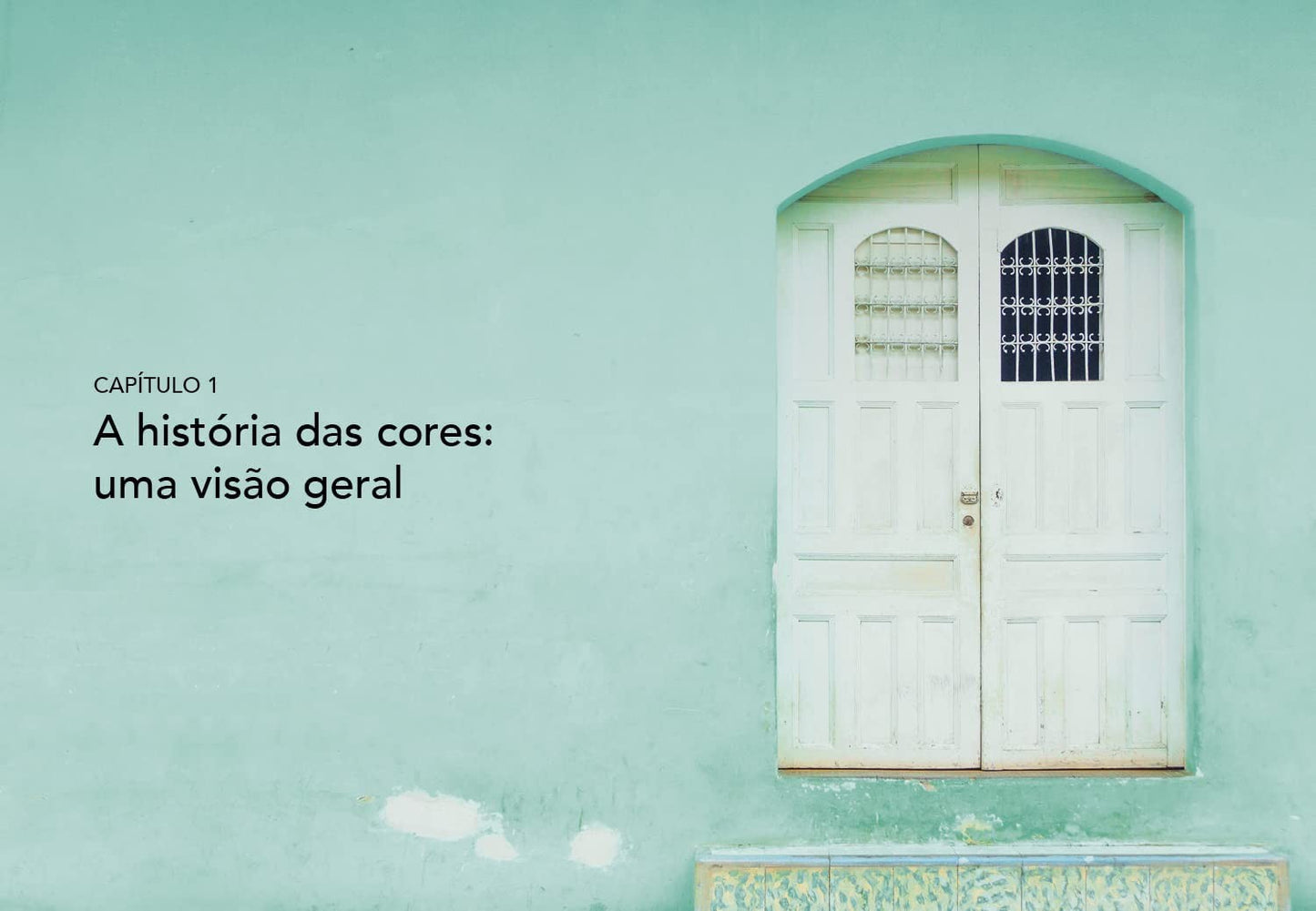 LIVRO "PEQUENO LIVRO DAS CORES" KAREN HALLER