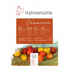 BLOCO HAHNEMUHLE CEZANNE GRANA FINA 36x48 300g/m2 COTTON 10