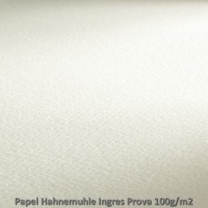 PAPEL HAHNEMUHLE INGRES 100G/M2 62,5X48 PROVA