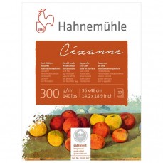 BLOCO HAHNEMUHLE CEZANNE SATINE 36x48 300g/m2 COTTON 10 FLS