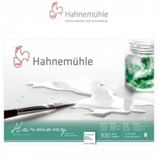 BLOCO HAHNEMUHLE HARMONY 300G/M2 SATINE 17,8X25,4 12 FLS