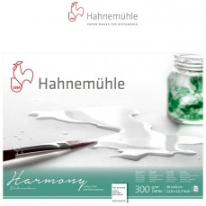 BLOCO HAHNEMUHLE HARMONY 300g/m2 SATINE 30x40 12FOLHAS