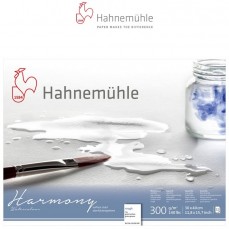 BLOCO HAHNEMUHLE HARMONY 300g/m2 TORCHON 30x40 12FOLHAS