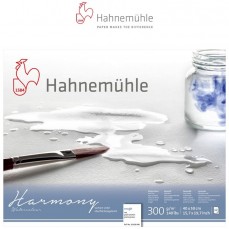 BLOCO HAHNEMUHLE HARMONY 300g/m2 TORCHON 40x50 12FOLHAS