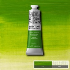 OLEO WINSOR NEWTON WINTON 37ML 145 CHROME GREEN HUE