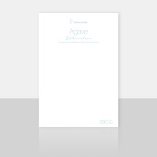 PAPEL HAHNEMUHLE AGAVE 290G/M2 50X65
