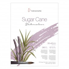 BLOCO HAHNEMUHLE SUGAR CANE 290g/m2 30x40cm GRANA FINA 12FLS