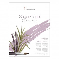 BLOCO HAHNEMUHLE SUGAR CANE 290g/m2 36x48cm GRANA FINA 12FLS