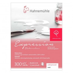 BLOCO HAHNEMUHLE EXPRESSION 300g/m2 GRANA FINA 08X10,5cm 12F