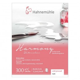 BLOCO HAHNEMUHLE HARMONY 300G/M2 GRANA FINA 08x10,5cm 12 FLS